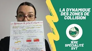 Miniature : La dynamique des zones de collision - 1ère spé SVT - Madame SVT