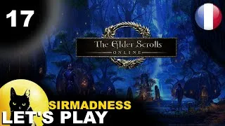 Miniature : THE ELDER SCROLLS ONLINE | Gameplay FR - [Graht - Ep 17] : Poison et Event !! MMO🦋SirMadness