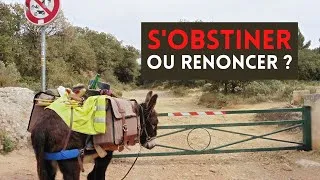 Miniature : Quand les animaux et les éléments disent  ‼️NON ‼️