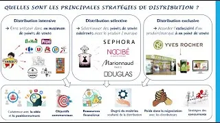 Miniature : Quels sont les fondements des stratégies de distribution des entreprises ?
