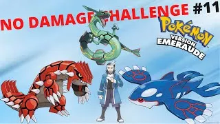 Miniature : [FR] No Damage Challenge sur Emeraude #11 - Légendaire bonsoir