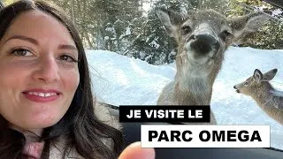 Miniature : Canada : Je visite le Parc Omega !!