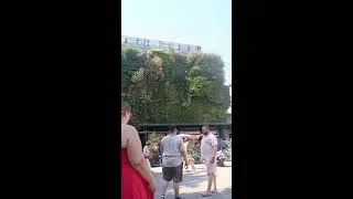 Miniature : Le Comité ME à Avignon