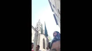 Miniature : Le Comité ME à Avignon