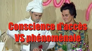 Miniature : Consciences d'accès et phénoménale (philo esprit 2/9)