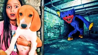Miniature : Huggy Wuggy de Poppy Playtime prend vie et emmène mon amie !