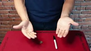 Miniature : NEST OF WALLET - DEMONSTRATION