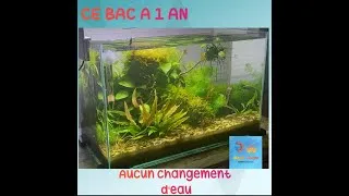 Miniature : Changement d'eau ? Je n'ai pas changer l'eau depuis 1an.