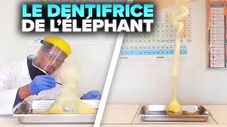 Miniature : EXPÉRIENCE #3 : LE DENTIFRICE DE L’ÉLÉPHANT (Comment réaliser l'expérience au labo et à la maison ?)