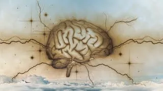 Miniature : Notre cerveau crée l'illusion de la réalité