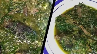 Miniature : SOUPE VERTE DE VIANDE DE BROUSSE