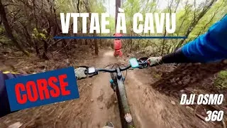 Miniature : Vttae à Cavu | Corse | Dji Osmo 360