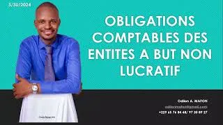 Miniature : Les obligations comptables des entités à but non lucratif conformément au SYCEBNL.