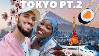 Miniature : VLOG JAPON #5 : DE RETOUR À TOKYO ! | Harry Potter park, Mont-Fuji, Teamlab borderless, Vintage shop