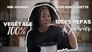 Miniature : Une Journée Dans Mon Assiette Végétale De Janvier - Idées Repas