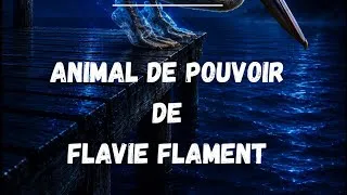 Miniature : ✨ L’animal de pouvoir symbolique de Flavie Flament : le Pélican ✨ #chamanisme #animaldepouvoir 