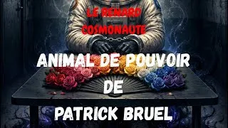 Miniature : 🦊 Animal de pouvoir de Patrick Bruel