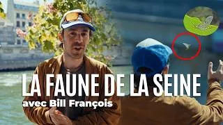 Miniature : On a cherché la mouche de mai avec Bill François | Paris Nature 🌱 | Ville de Paris