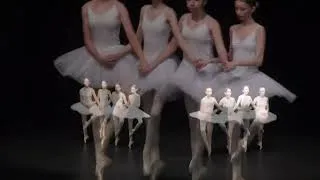 Miniature : 437. Spectacle de danse classique 2026 - Souffel PLAY
