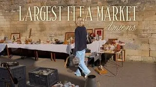 Miniature : The BEST Antique Market In The World? 🇫🇷 | Shop with me at La Grande Rederie d'Amiens in France