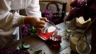 Miniature : Lilac season in France, slow life in the countryside, cooking with flowers, gardening. 🌸🪴🐝