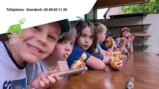 Miniature : Classe verte (élémentaire) à la Maison de la Nature