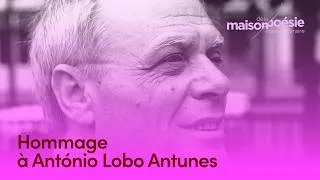 Miniature : Hommage à António Lobo Antunes