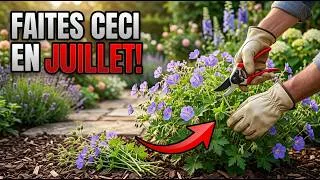 Miniature : 9 choses à faire absolument à vos plantes vivaces en juillet (Ou vous le regretterez tout l’été)