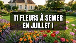 Miniature : La fenêtre secrète de juillet : 11 fleurs à planter pour un automne magnifique !