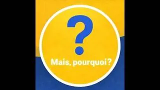 Miniature : Mais pourquoi, l’IA pourrait transformer toute l'économie ?