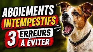 Miniature : Votre chien aboie ? Vous faites sûrement cette erreur !