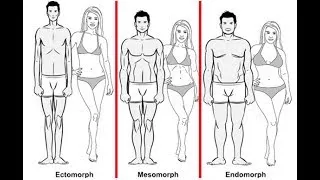 Miniature : Comment savoir si votre génétique  est faite pour la musculation ou pas ? Ma réponse À300%!!