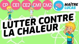 Miniature : Lutter contre la chaleur - canicule - CP - CE1 - CE2 - CM1 - CM2 - Cycle 2 et 3 - Sciences