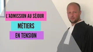 Miniature : L'admission au séjour au titre des métiers en tension (2025)