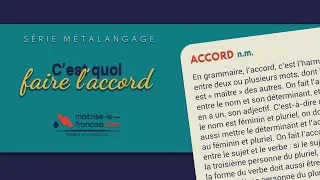 Miniature : C’est quoi faire l’accord ❓ Série métalangage n°20