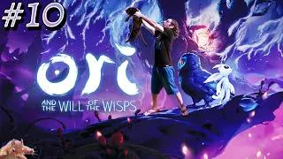 Miniature : Succès "Pas de temps à perdre" (finir en moins de 4h) — Ori and the Will of the Wisps #10