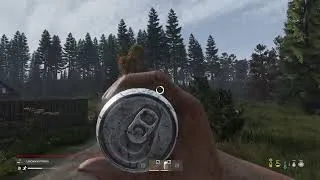 Miniature : DayZ : 2026/04/04 23:22:29