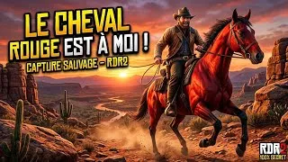 Miniature : J'ai rencontré le cheval le plus Sauvage dans RDR2 et (Y a eu du Rodéo)