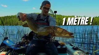 Miniature : J'AI ENFIN PRIS MON PREMIER BROCHET D'1 MÈTRE...