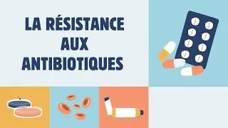 Miniature : la résistance aux antibiotiques