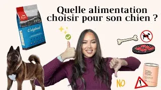 Miniature : ALIMENTATION POUR CHIEN ? BARF, CROQUETTES, AVEC OU SANS CÉRÉALES... Voici ce que j'ai choisi !