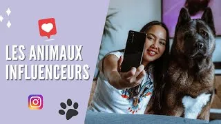 Miniature : DEVENIR UN CHIEN INFLUENCEUR