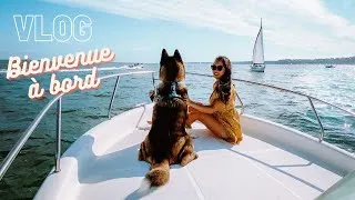 Miniature : ON VOUS PRÉSENTE NOTRE BATEAU  //  Malcolm The Akita