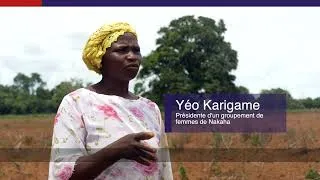Miniature : EGIS - SODEXAM (AFD) I L' information climatique au service de l'agriculture en Côte d'Ivoire.