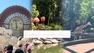 Miniature : 🦒 On a passé une journée incroyable à Pairi Daiza 😍✨