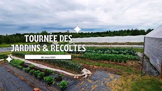 Miniature : Tournée des jardins et récoltes | Astuces jardinage
