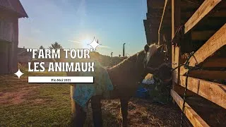 Miniature : Tournée de la ferme | Découvrir nos animaux | mai 2025