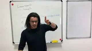 Miniature : Les immobilisations corporelles et incorporelles (Cours) - Comptabilité financière II