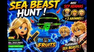 Miniature : SEA BEAST HUNT sur Blox fruits (Feat @SCP-ADAMAS  2 abonnés 🔥)