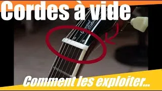 Miniature : Les cordes à vide